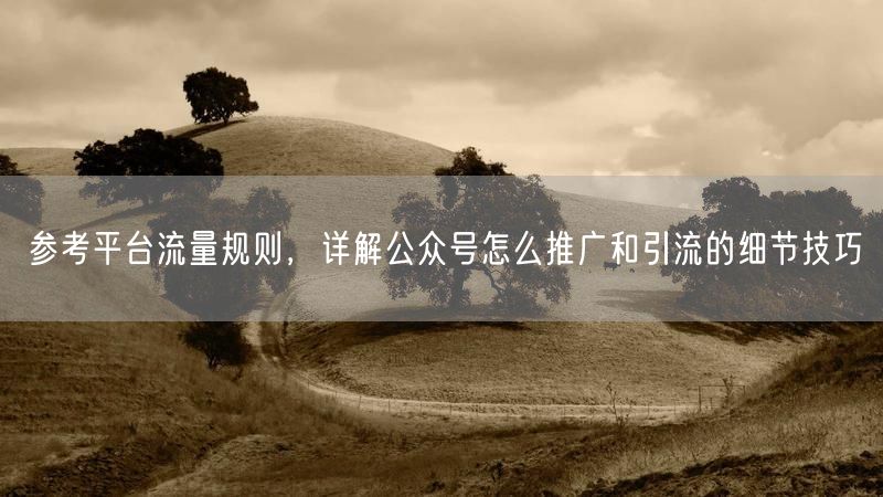 参考平台流量规则，详解公众号怎么推广和引流的细节技巧