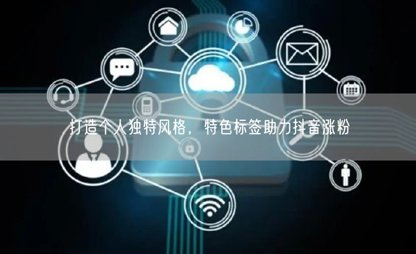 打造个人独特风格，特色标签助力抖音涨粉