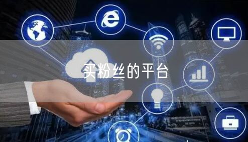 买粉丝的平台