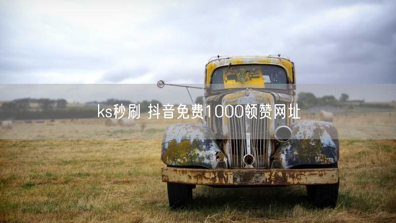 ks秒刷 抖音免费1000领赞网址