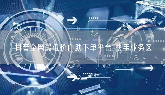 抖音全网最低价自助下单平台 快手业务区
