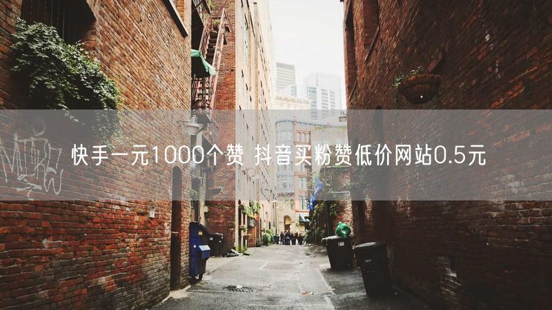 快手一元1000个赞 抖音买粉赞低价网站0.5元