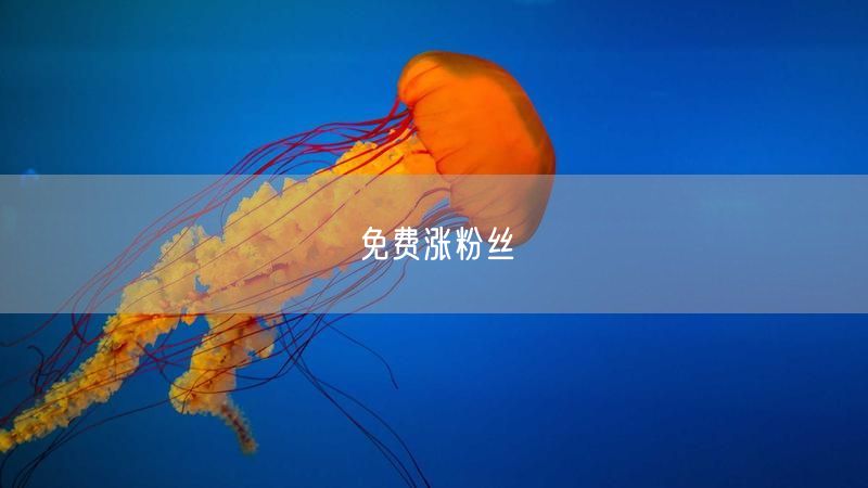 免费涨粉丝