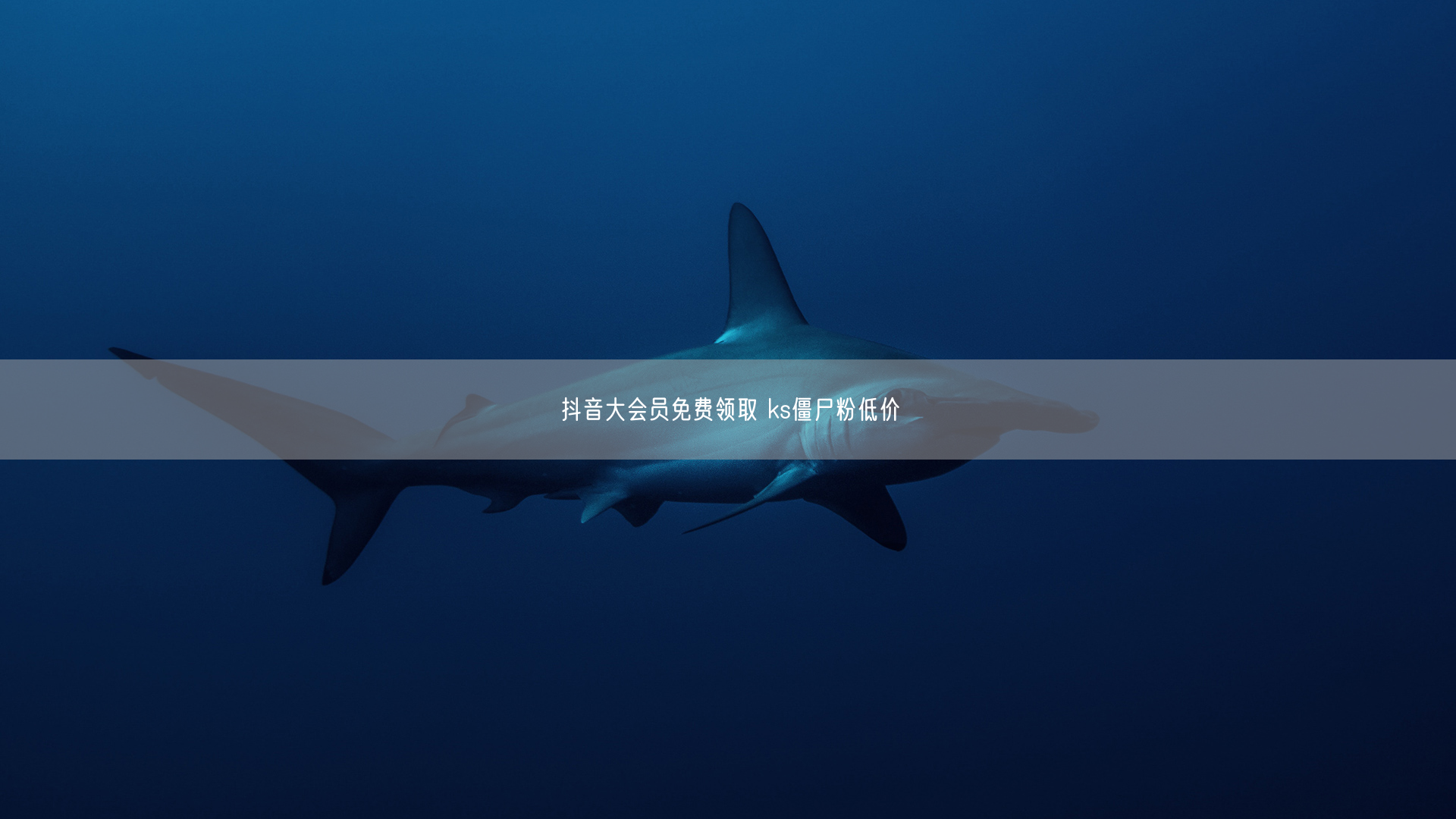 抖音大会员免费领取 ks僵尸粉低价