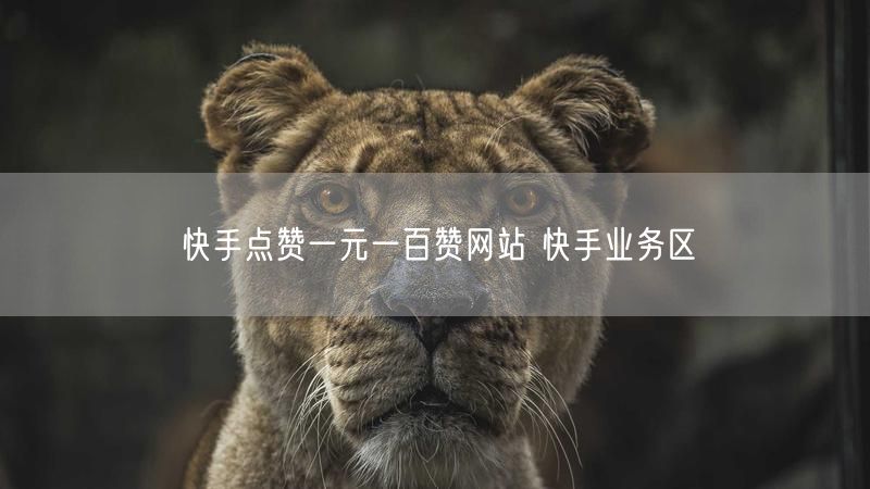 快手点赞一元一百赞网站 快手业务区