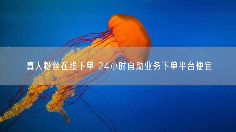 真人粉丝在线下单 24小时自助业务下单平台便宜