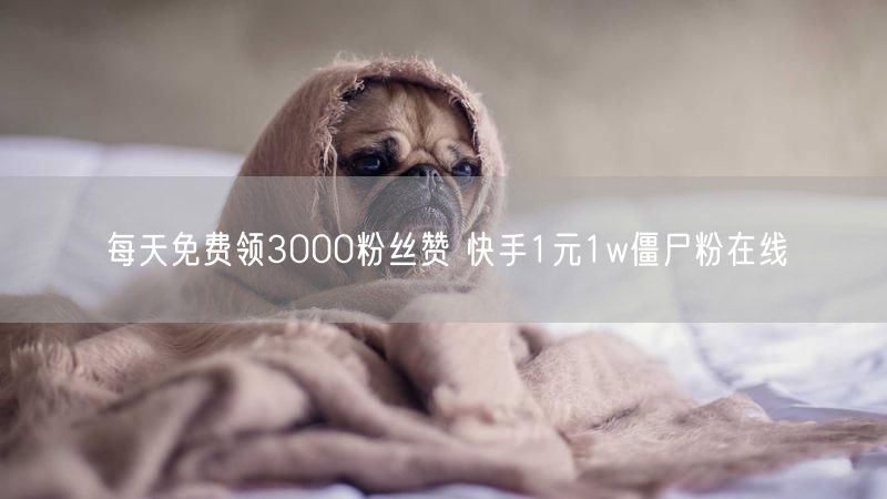 每天免费领3000粉丝赞 快手1元1w僵尸粉在线