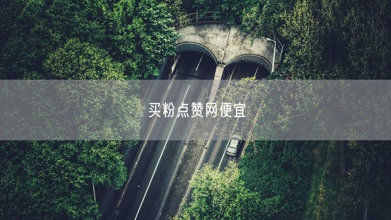 买粉点赞网便宜