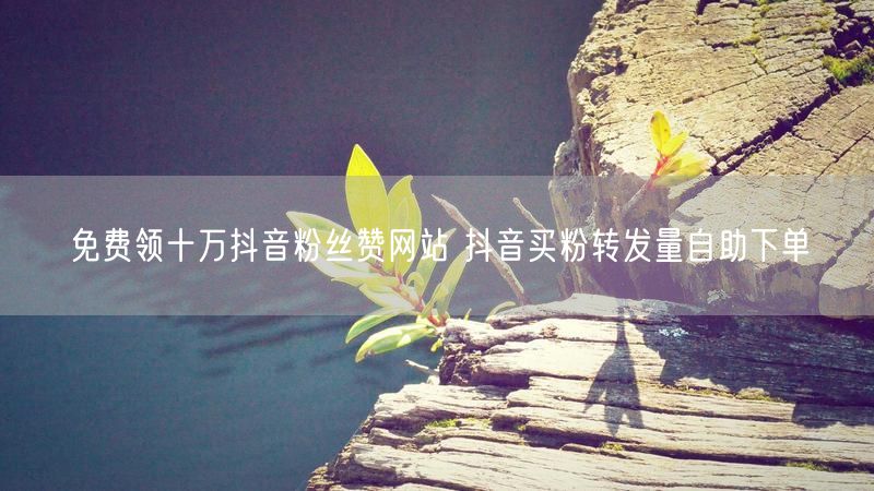 免费领十万抖音粉丝赞网站 抖音买粉转发量自助下单
