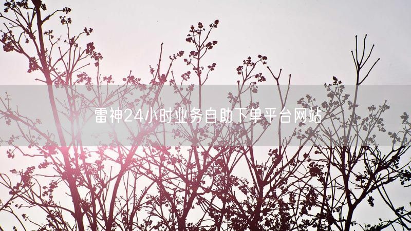 雷神24小时业务自助下单平台网站
