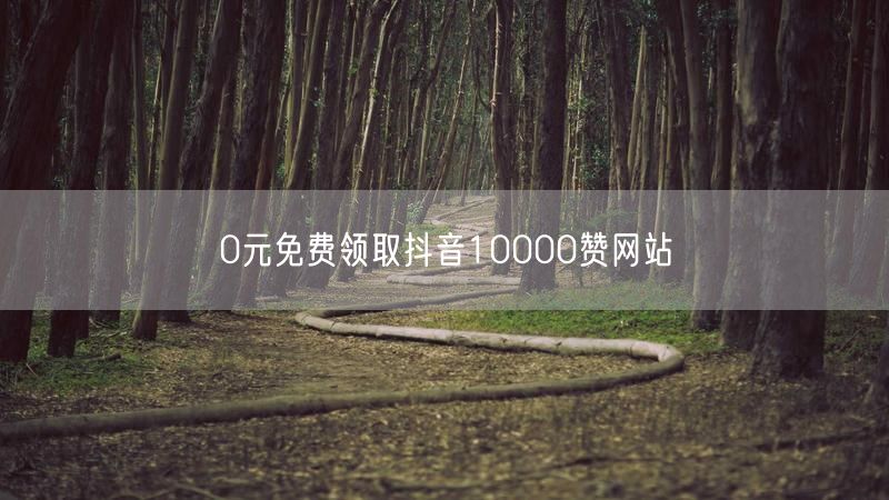 0元免费领取抖音10000赞网站