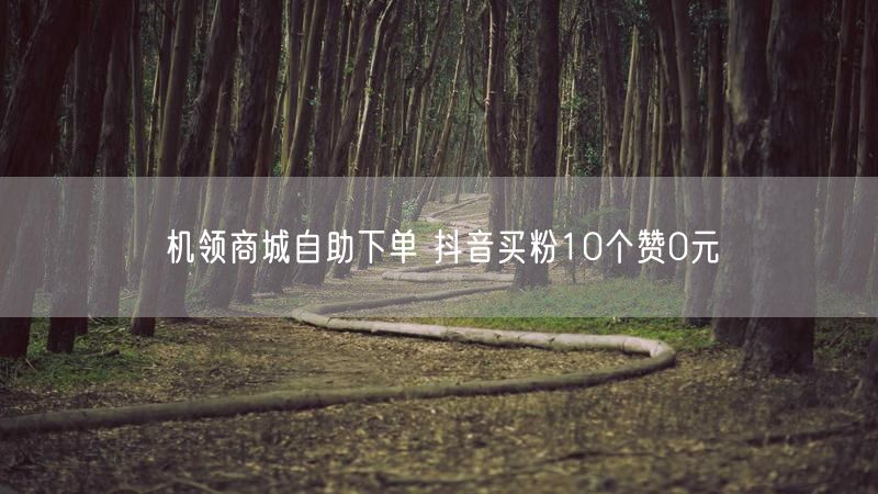 机领商城自助下单 抖音买粉10个赞0元