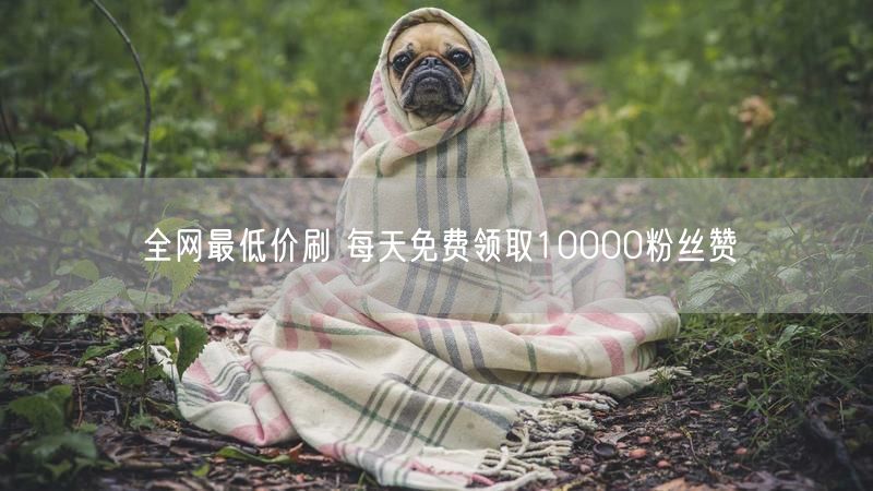 全网最低价刷 每天免费领取10000粉丝赞