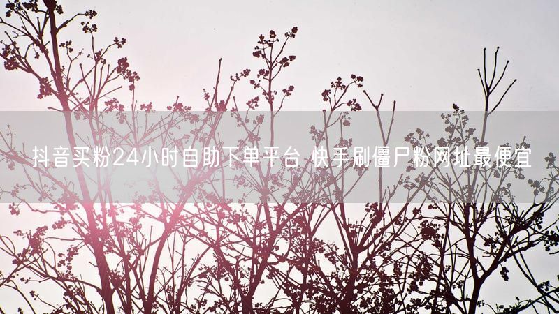 抖音买粉24小时自助下单平台 快手刷僵尸粉网址最便宜