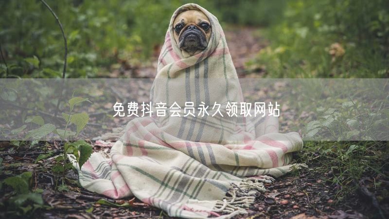免费抖音会员永久领取网站