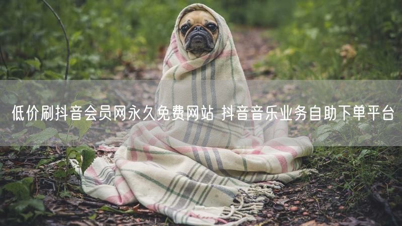 低价刷抖音会员网永久免费网站 抖音音乐业务自助下单平台