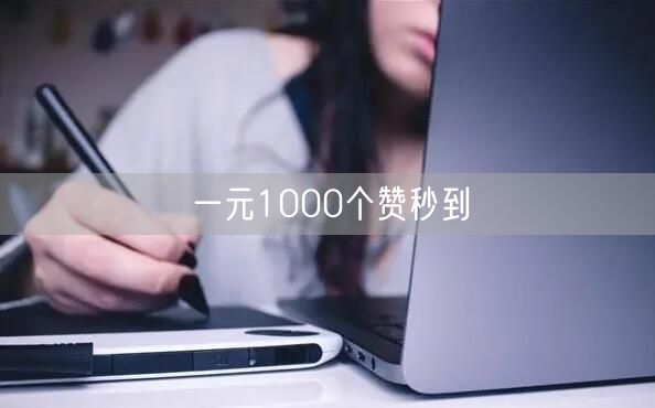 一元1000个赞秒到