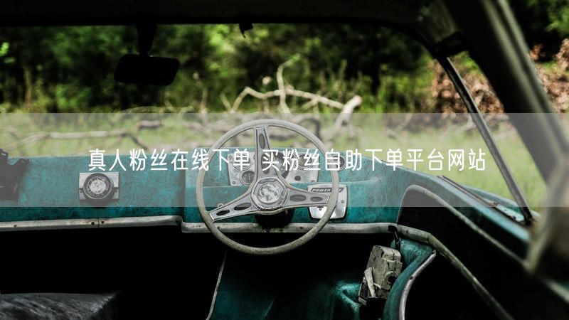 真人粉丝在线下单 买粉丝自助下单平台网站