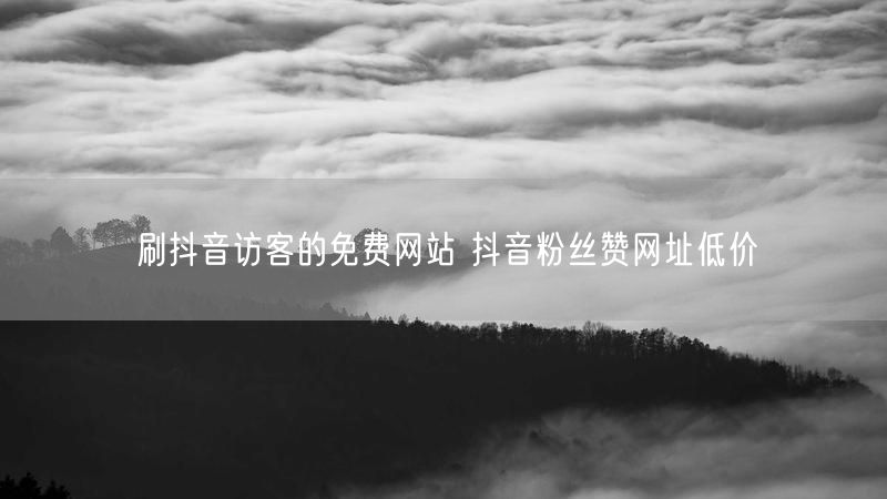 刷抖音访客的免费网站 抖音粉丝赞网址低价