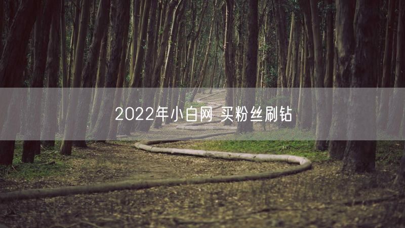 2022年小白网 买粉丝刷钻