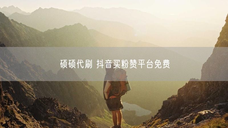 硕硕代刷 抖音买粉赞平台免费