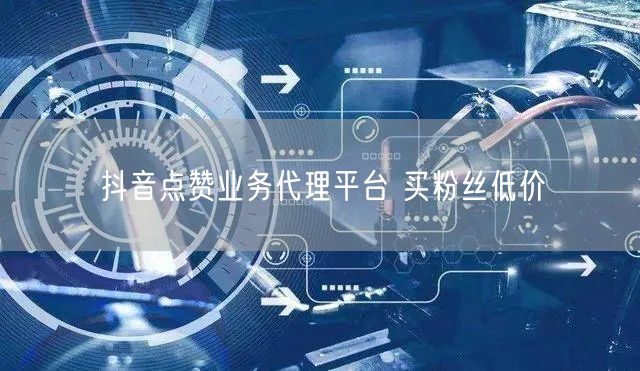 抖音点赞业务代理平台 买粉丝低价