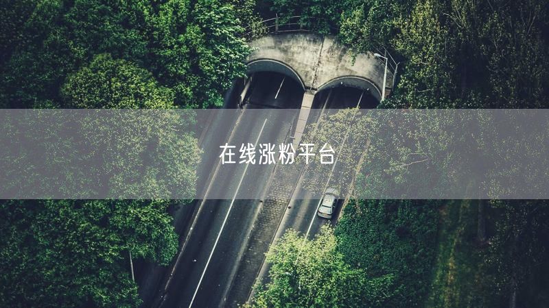 在线涨粉平台