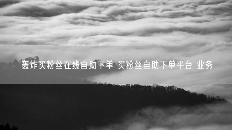 轰炸买粉丝在线自助下单 买粉丝自助下单平台 业务