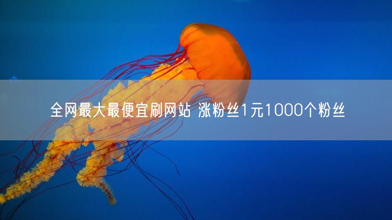 全网最大最便宜刷网站 涨粉丝1元1000个粉丝